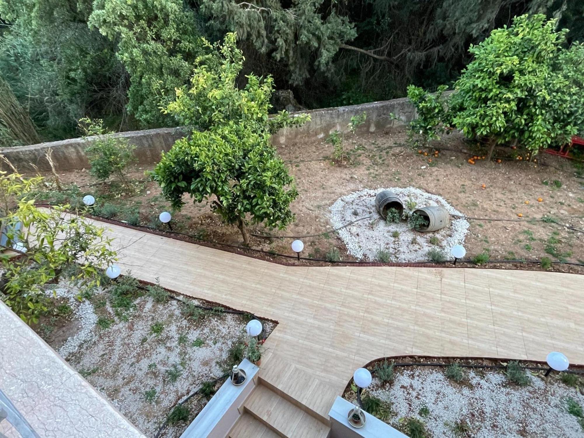 Zebrano In Kallithea Rhodes